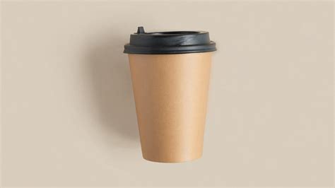 How Are Paper Cups Made: A Journey from Trees to Your Morning Coffee