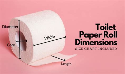 How Long is a Toilet Paper Roll Tube, and Why Does It Matter in the Grand Scheme of Things?